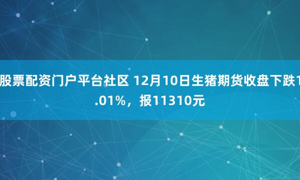 股票配资门户平台社区 12月10日生猪期货收盘下跌1.01%，报11310元