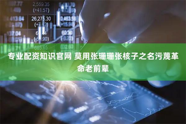 专业配资知识官网 莫用张珊珊张核子之名污蔑革命老前辈