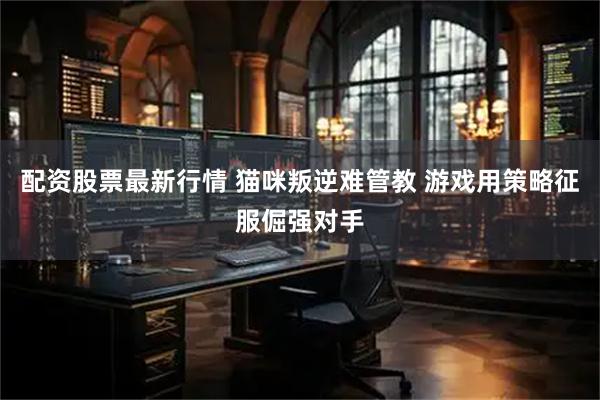 配资股票最新行情 猫咪叛逆难管教 游戏用策略征服倔强对手