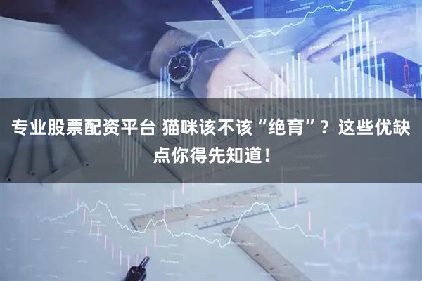 专业股票配资平台 猫咪该不该“绝育”？这些优缺点你得先知道！